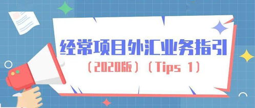 經(jīng)營個人本外幣兌換特許業(yè)務(wù)指南 合規(guī)操作與市場機遇
